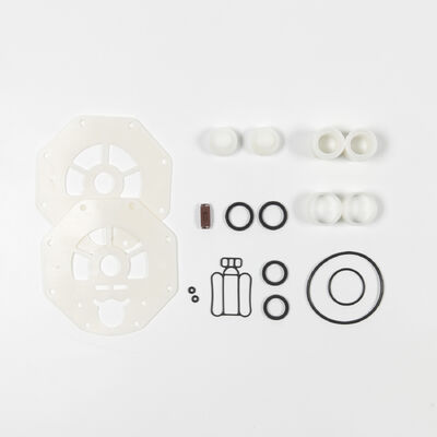 ปั๊มไดอะแฟรม PTFE วัสดุ PP พร้อมแรงดันสูงสุด 100psi สำหรับการถ่ายโอนสารละลายยูเรีย