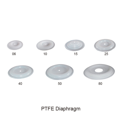 ไดอะแฟรม PTFE Air Operated Double Diaphragm Pump Parts